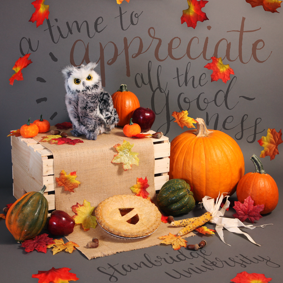 thanksgiving facebook graphic